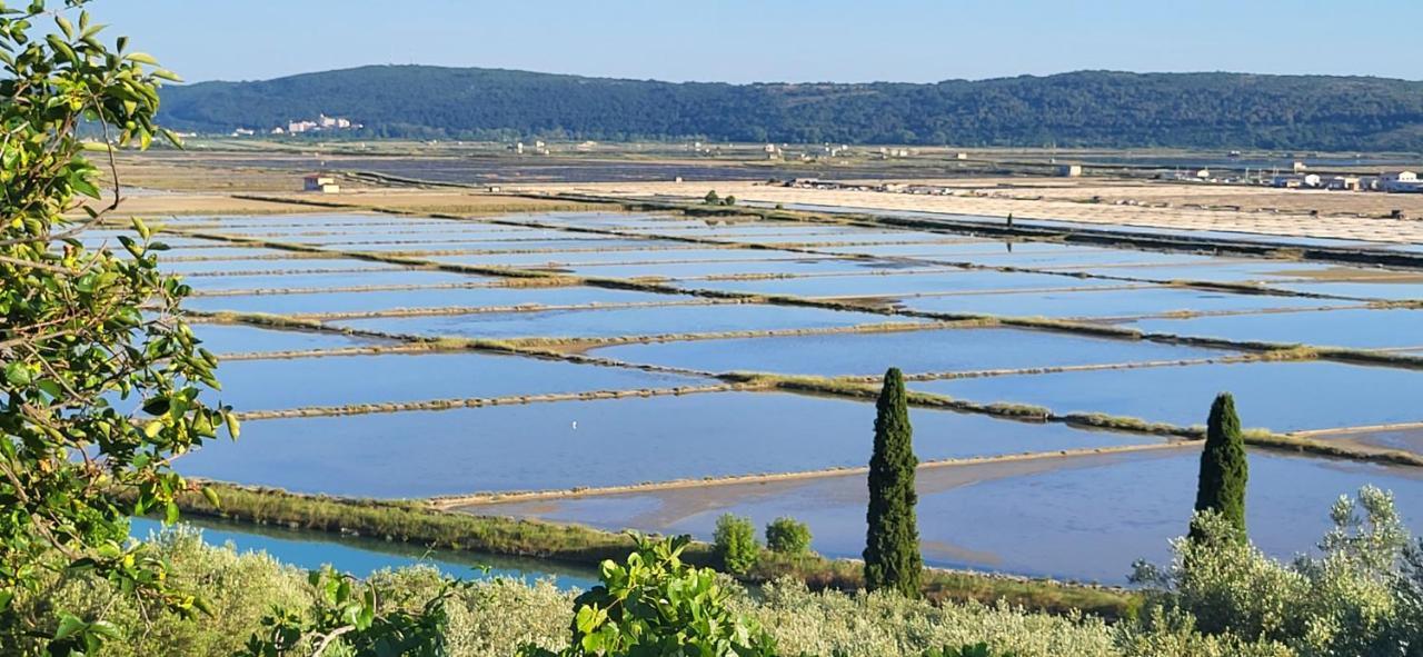 Apartment Salt Pans View Portorož Kültér fotó