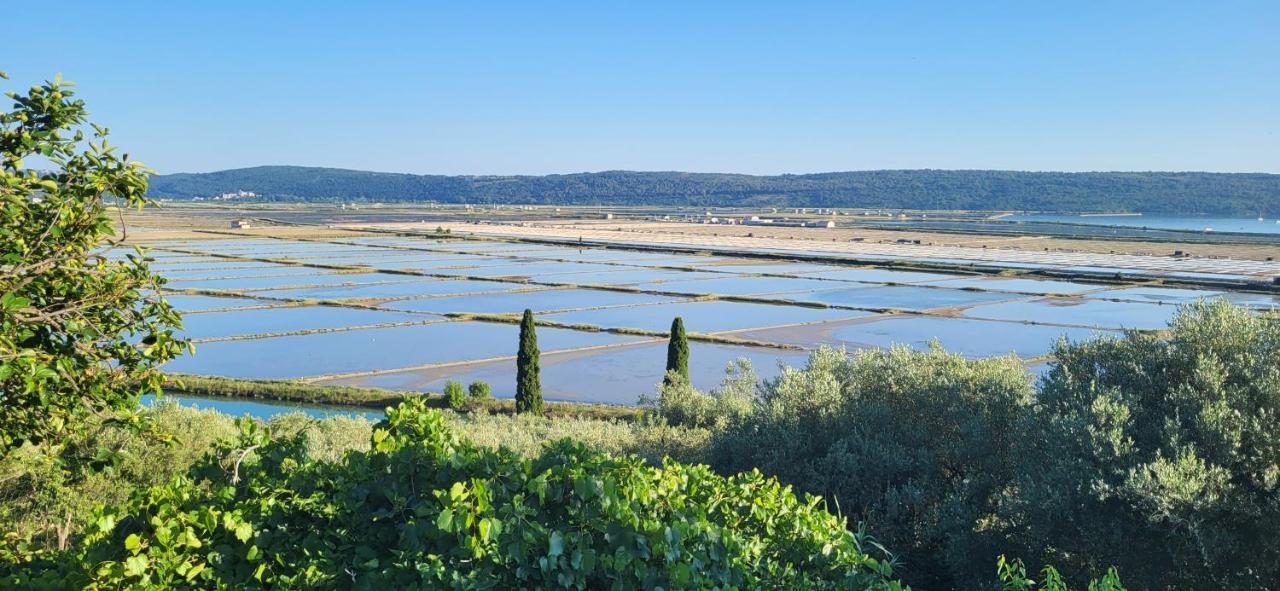 Apartment Salt Pans View Portorož Kültér fotó